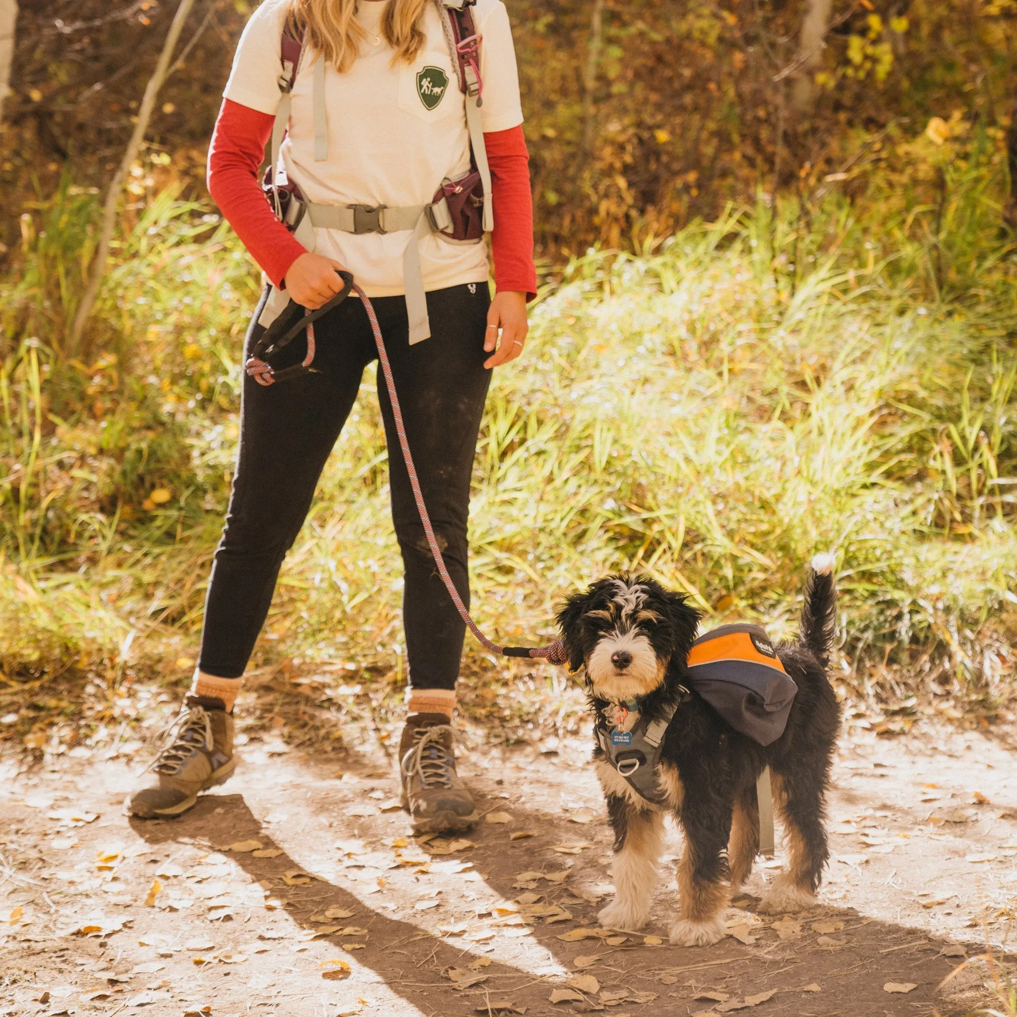 Adventurer 2-piece Dog Pack With EZ Latch™  Harness - MILE HIGH - WHOLESALE