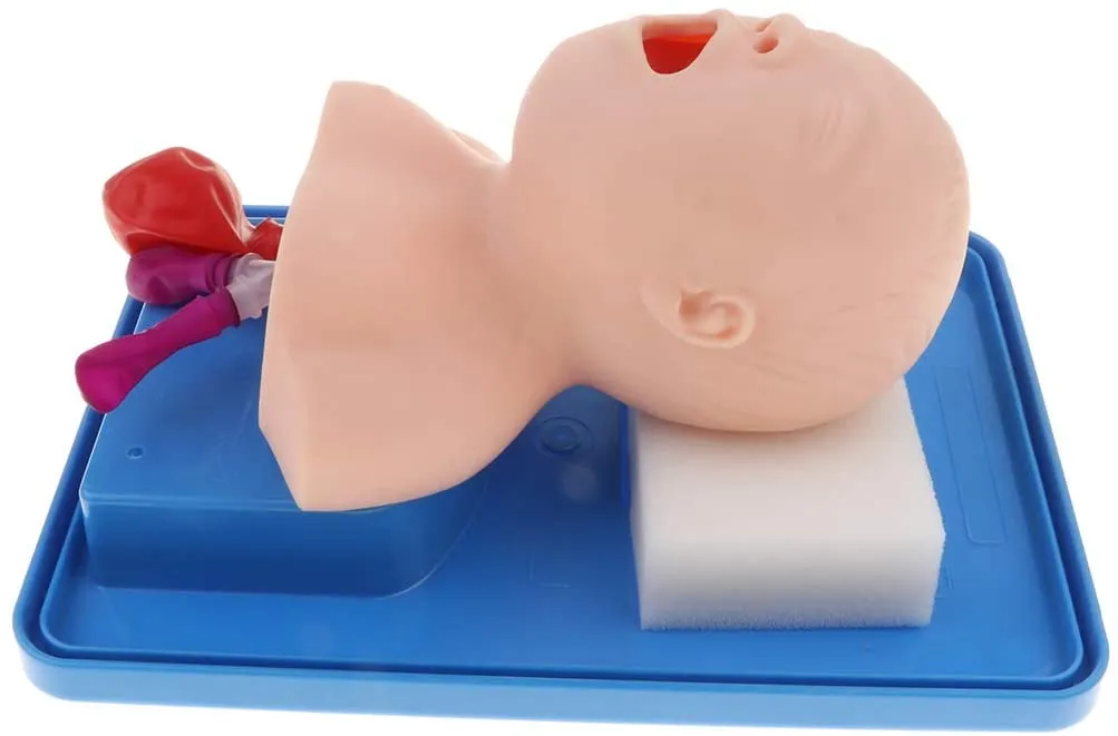 Airway Management Trainer: Infant BLS