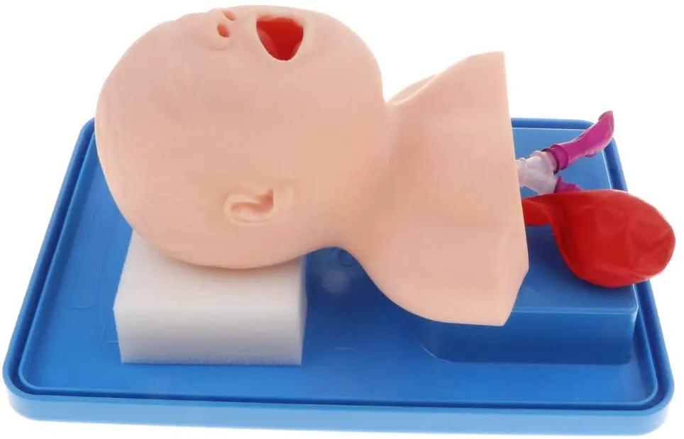 Airway Management Trainer: Infant BLS