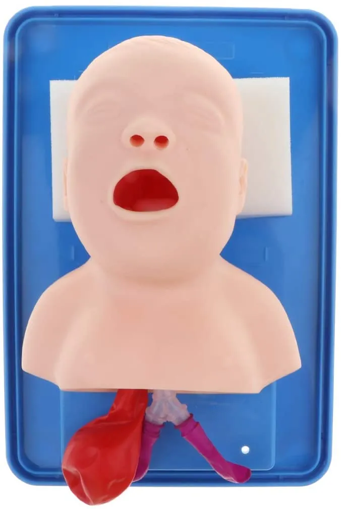 Airway Management Trainer: Infant BLS