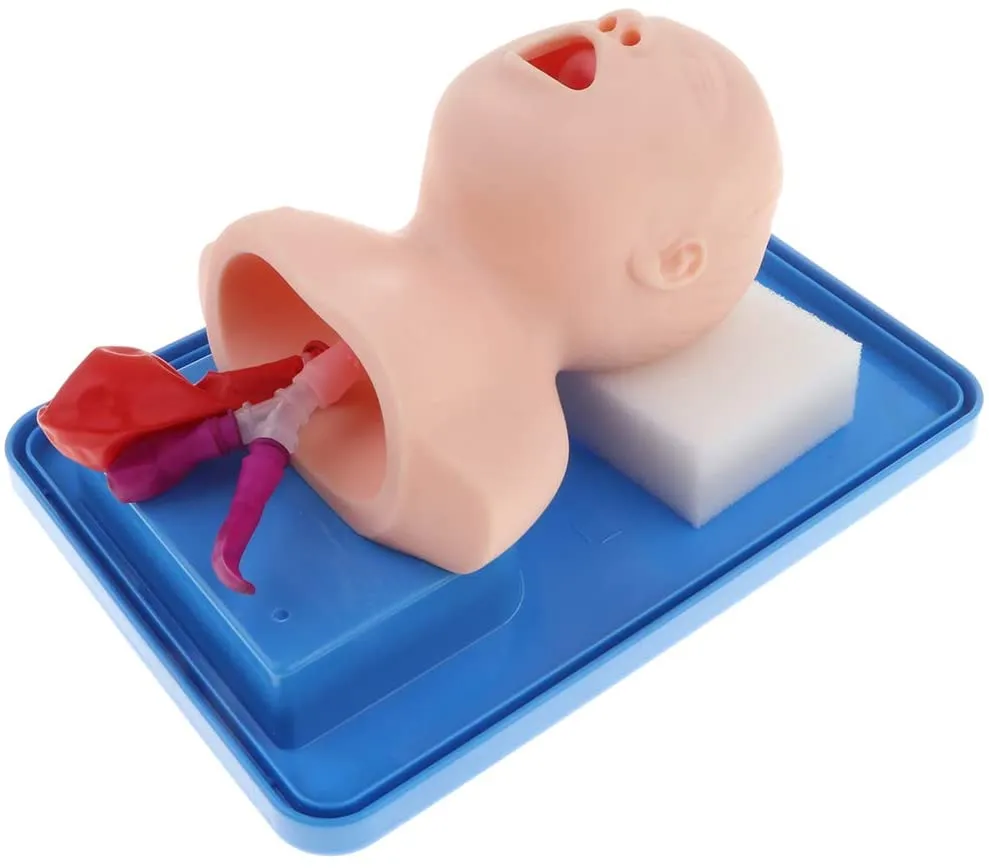 Airway Management Trainer: Infant BLS