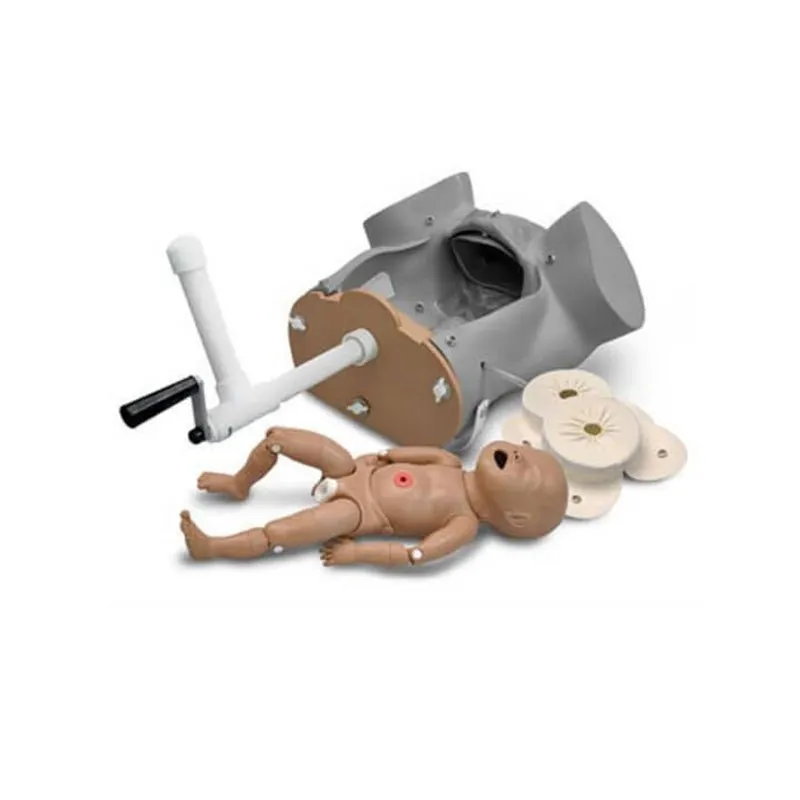 Birthing Mechanism for Childbirth Simulator S500, Light