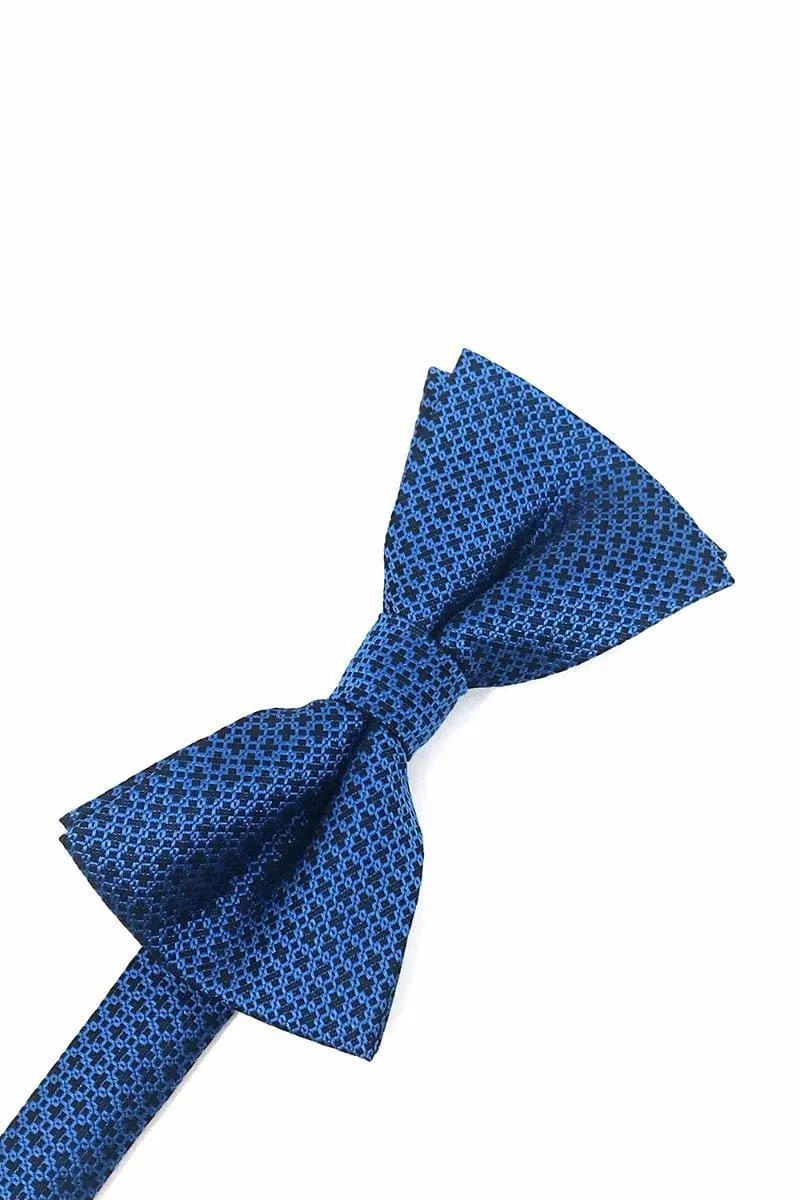 Blue Regal Bow Tie