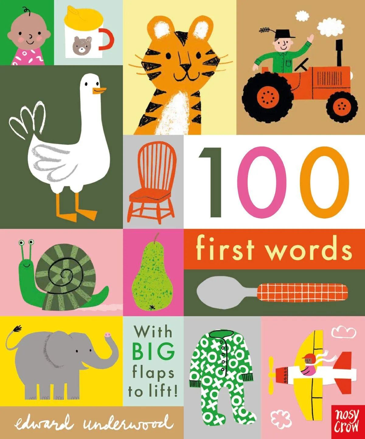 Book - 100 First Words