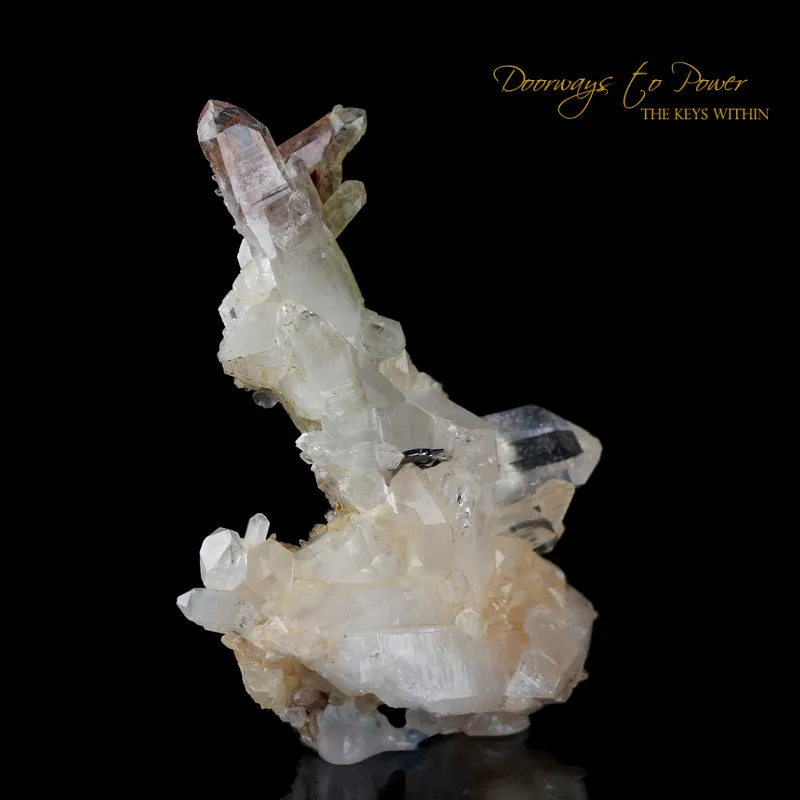 Brookite & Quartz Crystal Specimen 'Museum Quality'