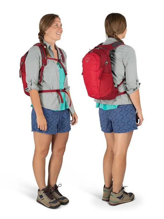 Daylite Backpack