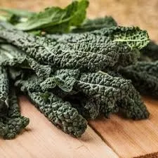 Heirloom Organic Dinosaur Kale Seeds (AKA Toscano Kale / Tuscan Kale / Italian Kale / Dinosaur Kale / Cavolo Nero / Black Leaf )