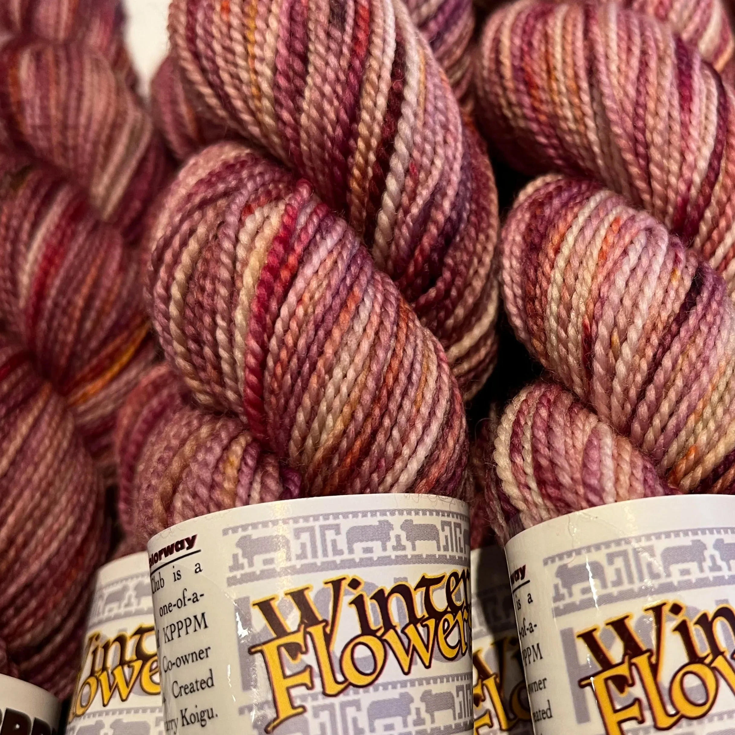 Koigu - KPPPM - Limited Edition Colourways