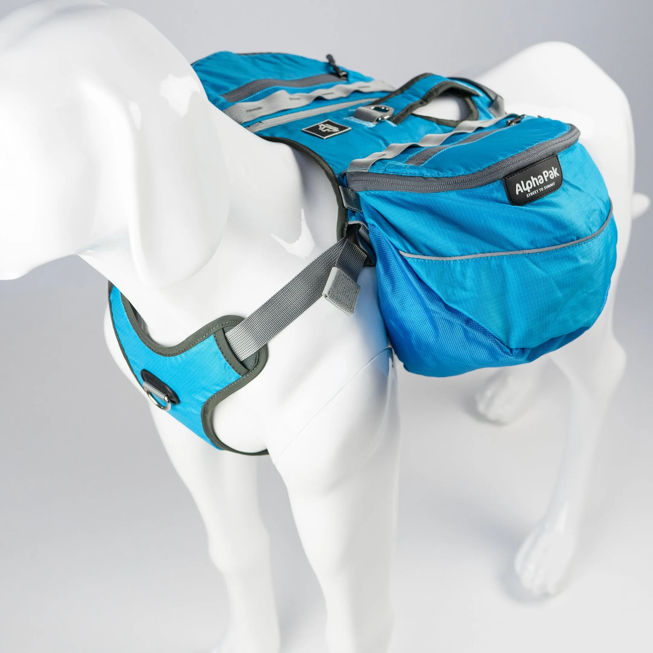 Pathfinder Dog Pack (1-piece) - Wholesale