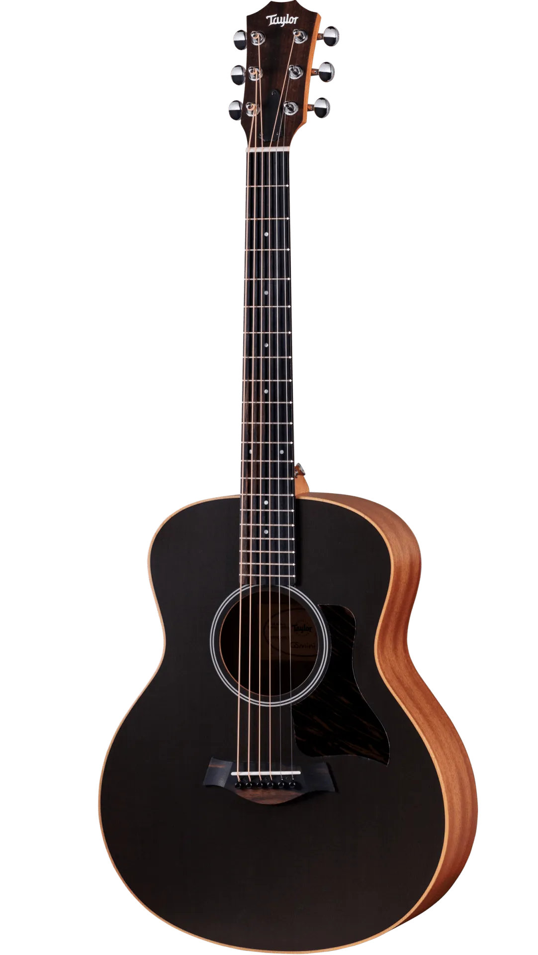 Taylor GS Mini-e Special Edition, Trans Black